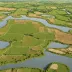 Cliffe Marshes