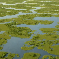 Catahoula Lake Marshes