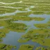 Catahoula Lake Marshes