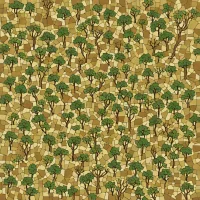 Chiquitano Dry Forest-Savanna Mosaic