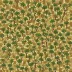 Chiquitano Dry Forest-Savanna Mosaic