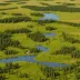 Cypress Hills Interprovincial Park
