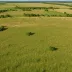 Crow-Hassan Park Reserve Prairie