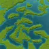 Corner Rise Seamounts