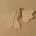 Common quaker moth
