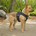 Coastal Pet Products Titan Harness