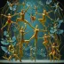 Cirque du Soleil – Iris