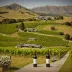 Craggy Range Winery
