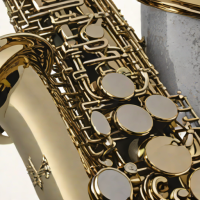 Cecilio CTS-300 Alto Saxophone