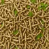 Coriander Root