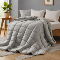 Casper Smart Weighted Blanket