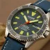 Citizen Promaster Tough BN0118-12L