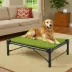 Coolaroo Elevated Dog Bed