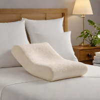 ComfiLife Premium Memory Foam Pillow