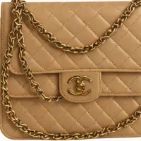 Chanel Wallet on Chain