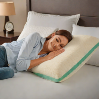 CloudRest Premium Shredded Memory Foam Pillow