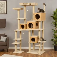 Cat Person The Lookout