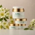 Curél Intensive Moisture Face Cream