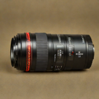 Canon EF 100mm f/2.8L Macro IS USM