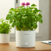 Click and Grow Smart Flower Pot