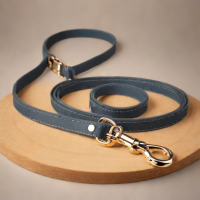 Chic Leash