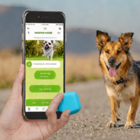 Cube Track Smart Pet GPS Tracker
