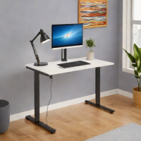 Cozy Bay Electric Standing Desk