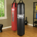 Combat Sports Heavy Bag