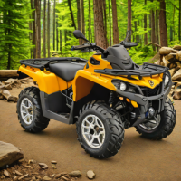 Can-Am Outlander 650 DPS