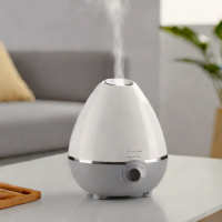 Canpety Ultrasonic Cool Mist Humidifier