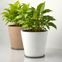 ChromaShift Color-Adaptive Planters