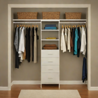 ClosetMaid Selectives Closet System