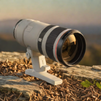 Canon RF 100-500mm f/4.5-7.1 L IS USM