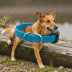 Coastal Pet Products Titan Collar