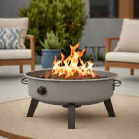 COLEMAN Portable Propane Fire Pit