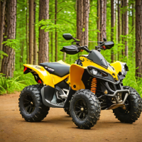 Can-Am Renegade 570