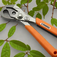 Corona Clipper Co. RazorEdge Pruning Shears