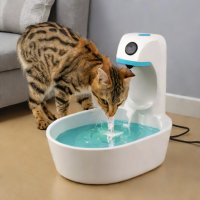 Cool Pets Water Fountain