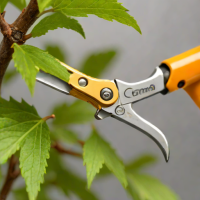 Corona Micro Pruning Shears