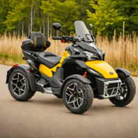 Can-Am Ryker Rally-Pro