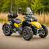 Can-Am Ryker Rally-Pro