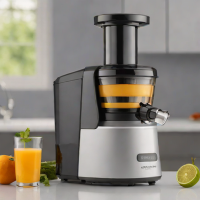 Cuisinart Slow Juicer