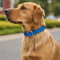 Coastal Pet Products Blue Harbor Nylon Dog Collar