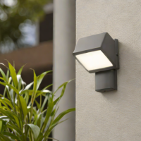 Capacitor Outdoor Motion Sensor Light