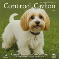 Control Your Cavachon: A Complete Training and Behavior Guide