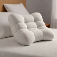 CushyForm Lumbar Support Pillow