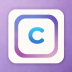 Capsule CRM Pro