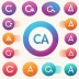 CareerPro Global