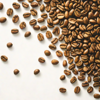 Colombia's Coffee Triangle Loop