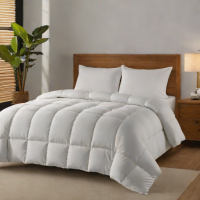 ComfyPhase Smart Comforter